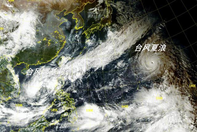 越南台风