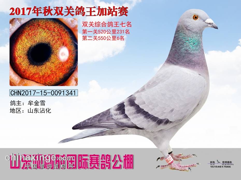 最新公告/翱翔梦想（或者与时俱进）