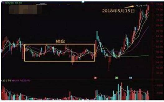股票最新行情下的隐秘宝藏与特色小店的奇妙故事