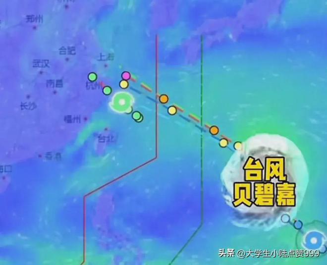 科普知识与实时关注动态