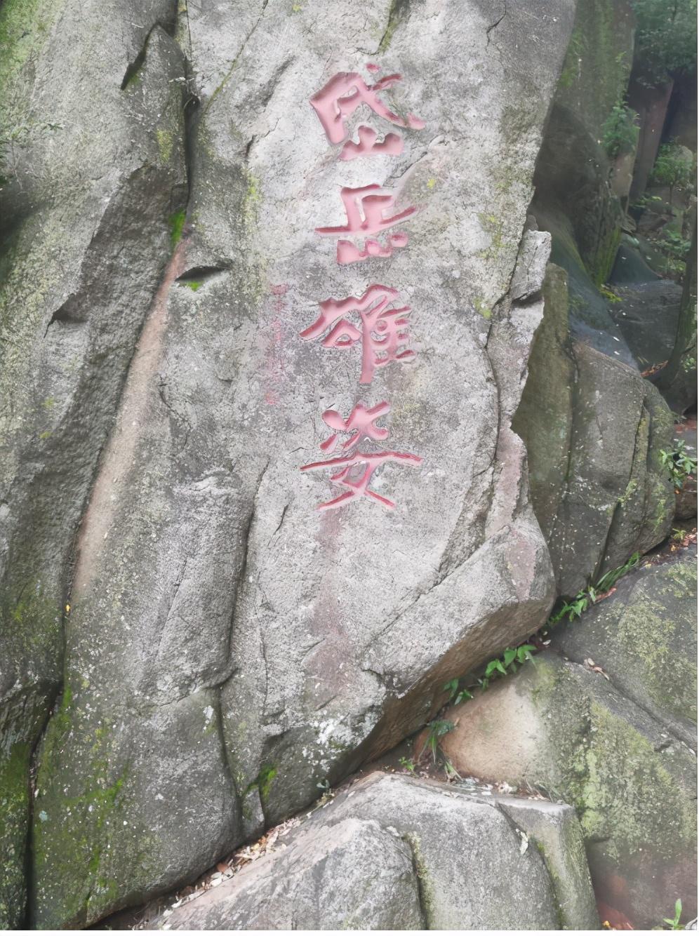 最新免费阅读