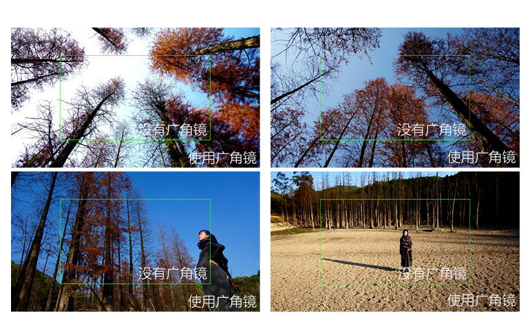 苹果最新款