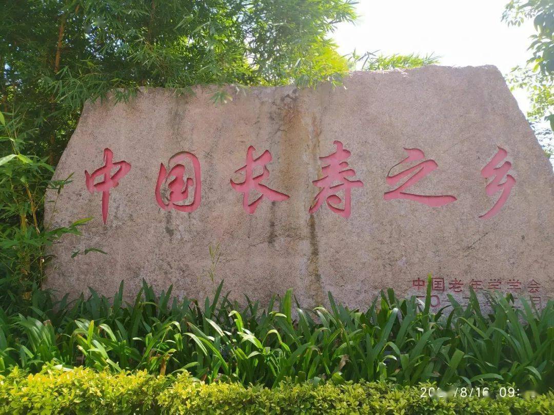 中国长寿之乡最新排名深度解析与观点阐述