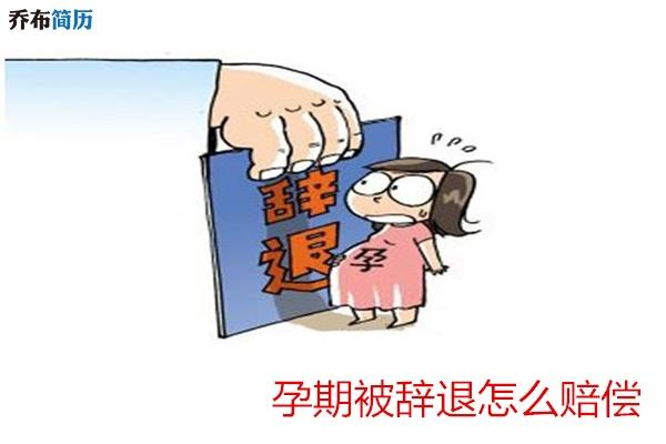 开除孕妇最新赔偿标准详解，步骤指南与赔偿标准概览