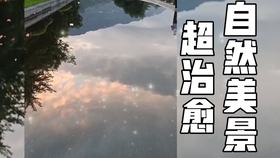 前科消灭制度最新动态
