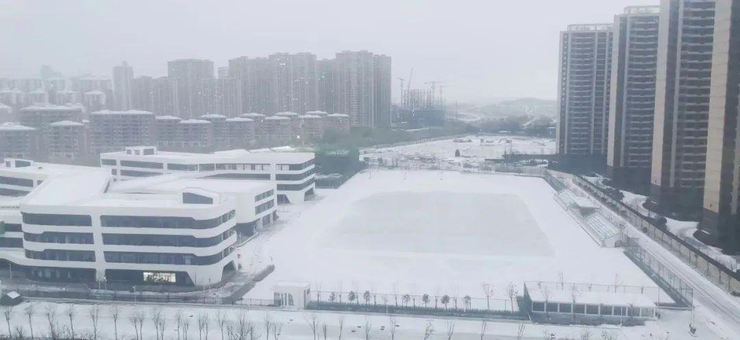 烟台天气预报最新更新，启程探索自然美景，寻找内心宁静之旅