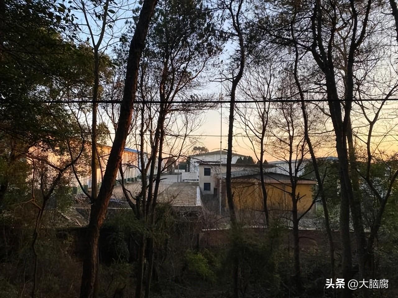 城市脉络新拓展