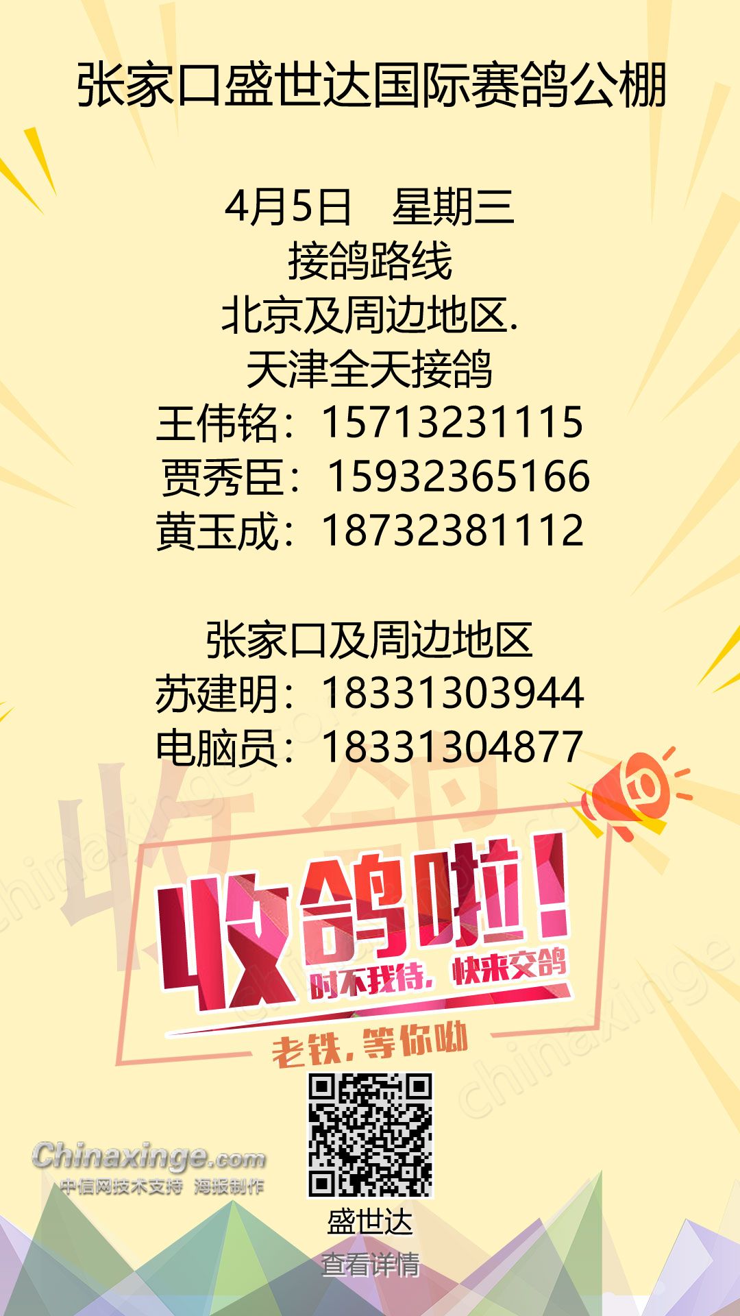 盛世达公棚最新公告