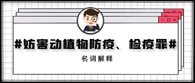警惕非法色情内容，追求健康娱乐生活！