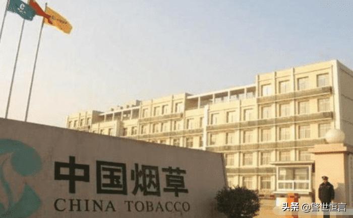 税务政策解读与应对策略