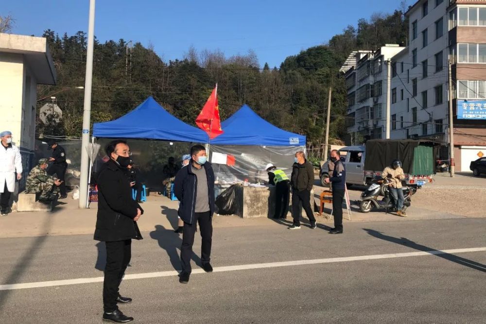 遂昌最新疫情详细步骤指南及最新更新