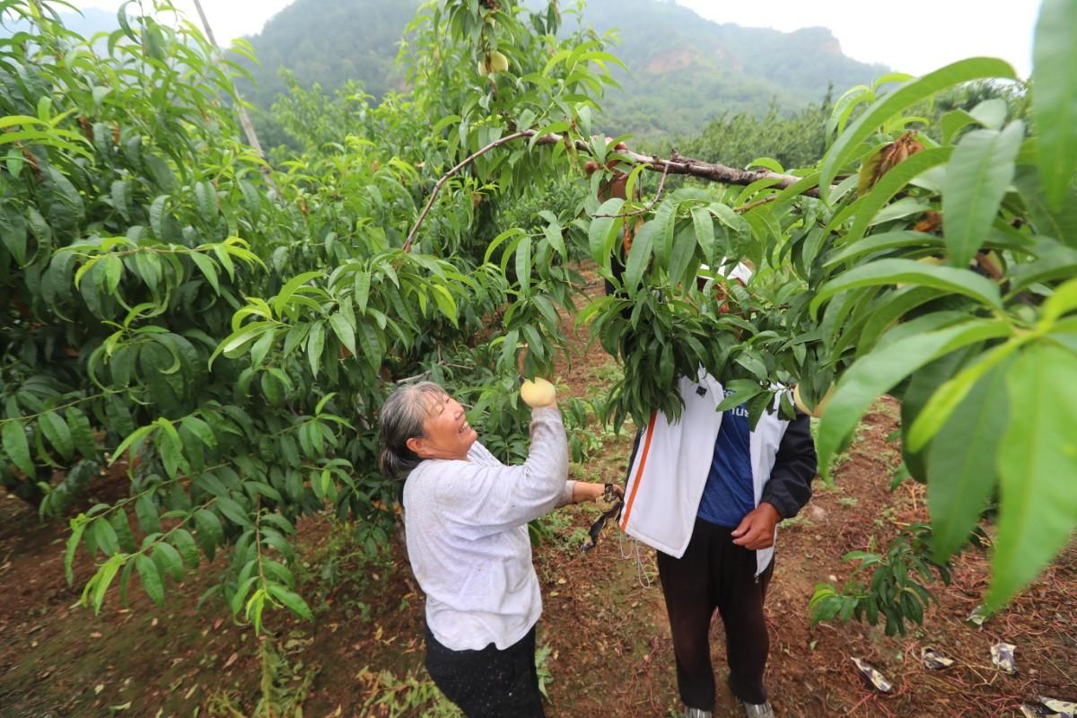 背景与重大事件（或地位揭秘）