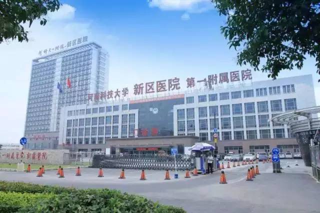 自信与成就的力量展现