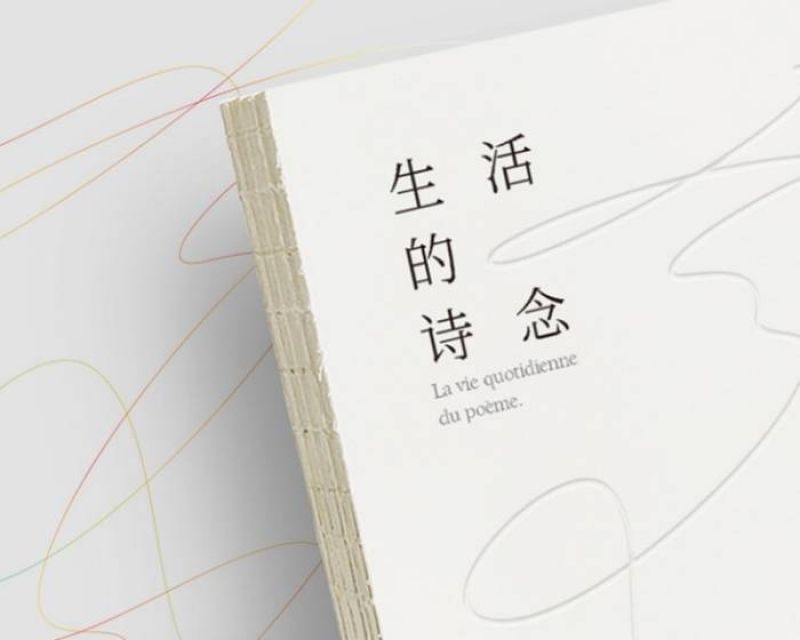 时代之光璀璨明珠，最新苏菲的魅力展现