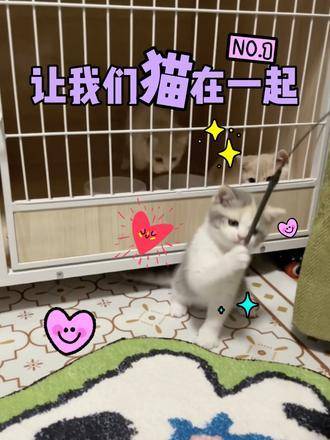 自信与成就感蜕变