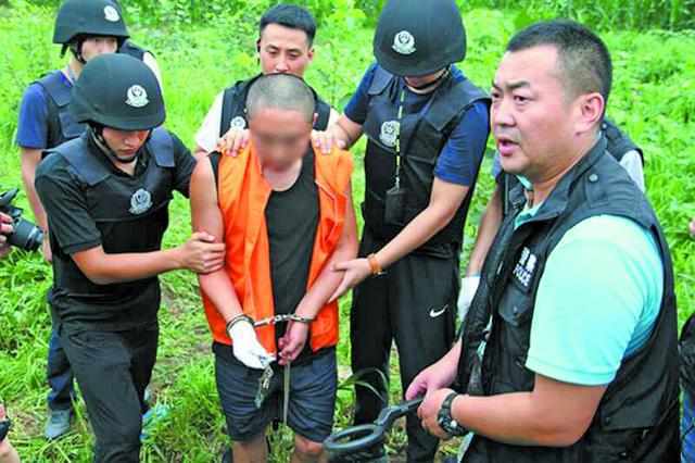 社会反响探讨
