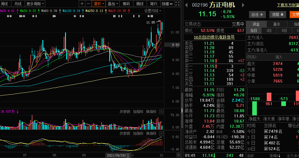 方正电机股票最新动态与小巷特色小店的独特魅力探索