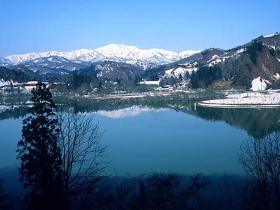 李小屯最新动态