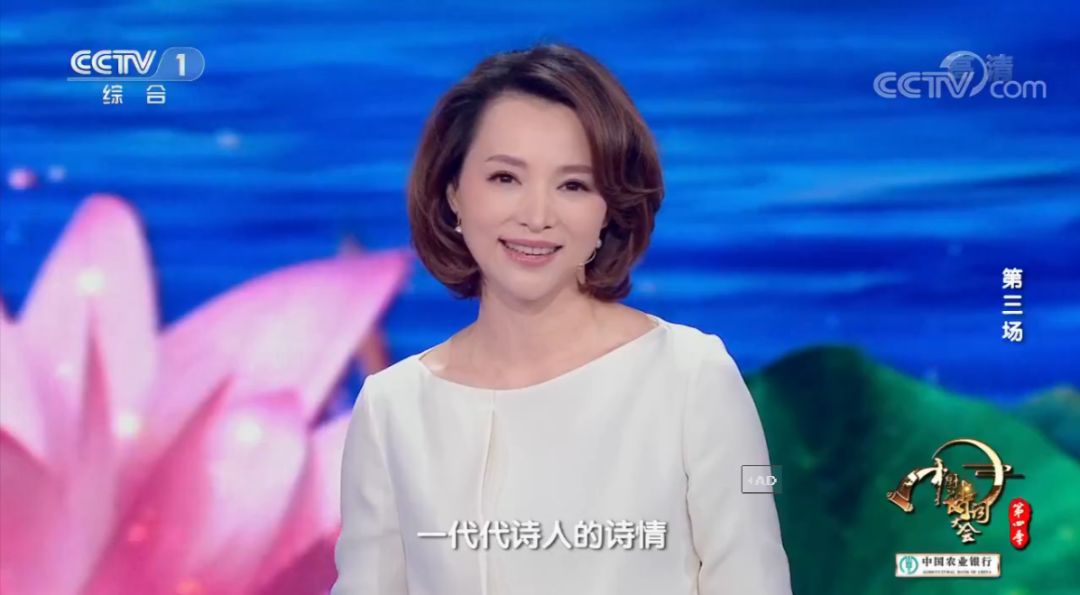 杨晨曦婚礼
