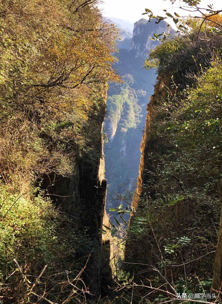逆境励志