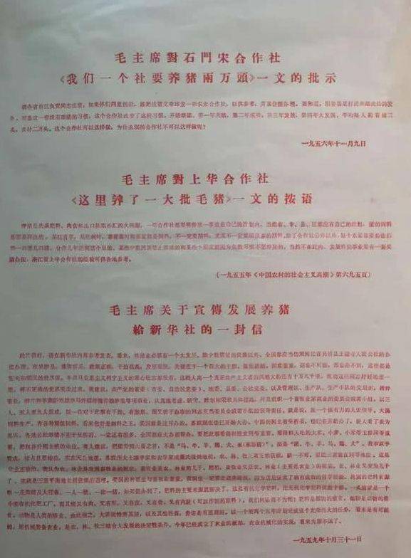希望与担当