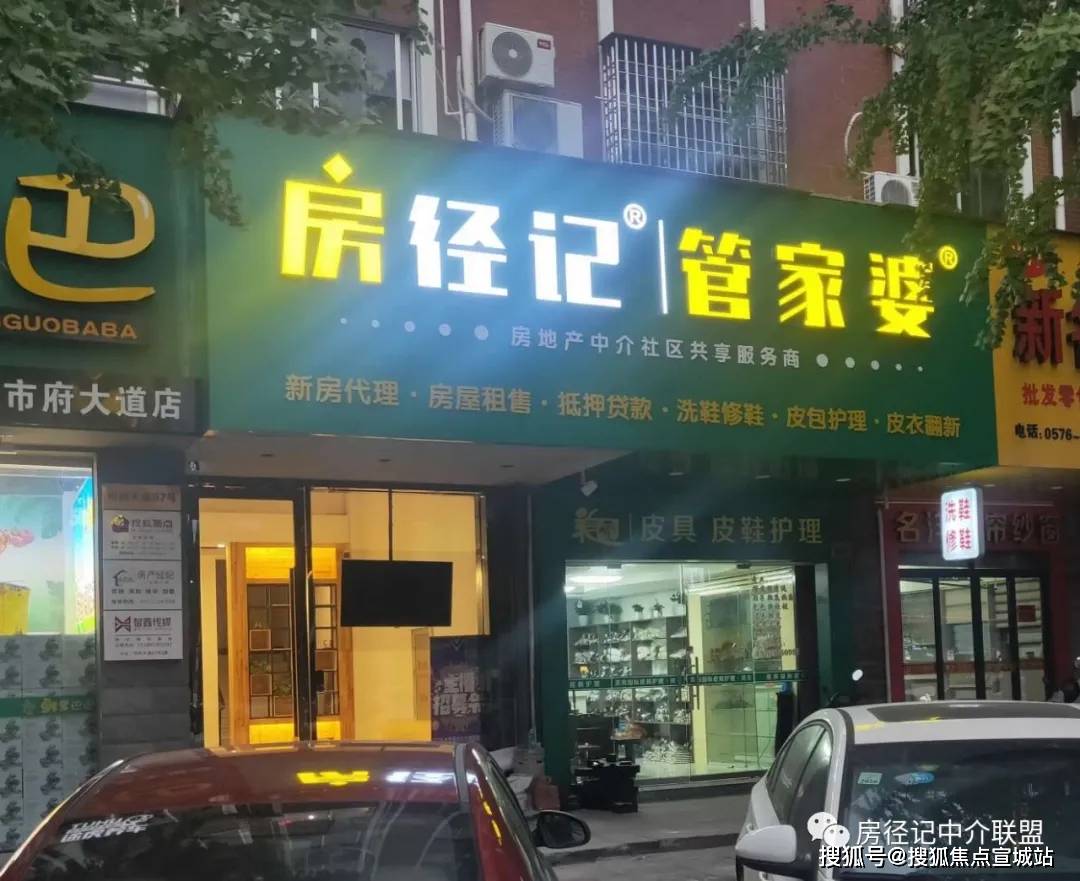 发展概述/动态