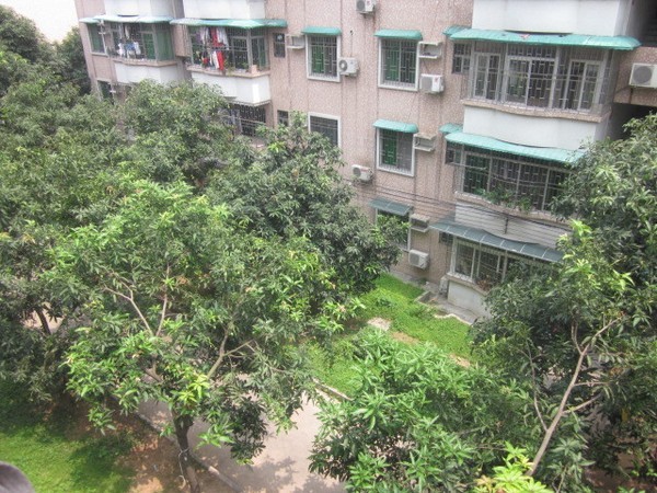 成长中的自信与成就感展示