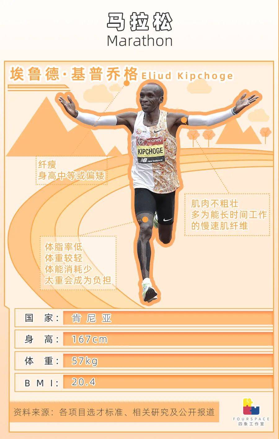 体型特征了解