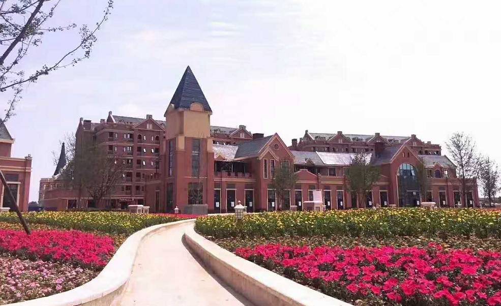 绵竹大学城最新动态更新，最新消息汇总