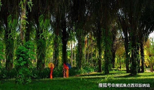 探寻内心平静