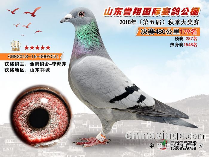 北京金鹏公棚最新动态