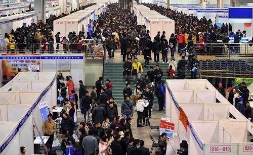 求职热点深度解析