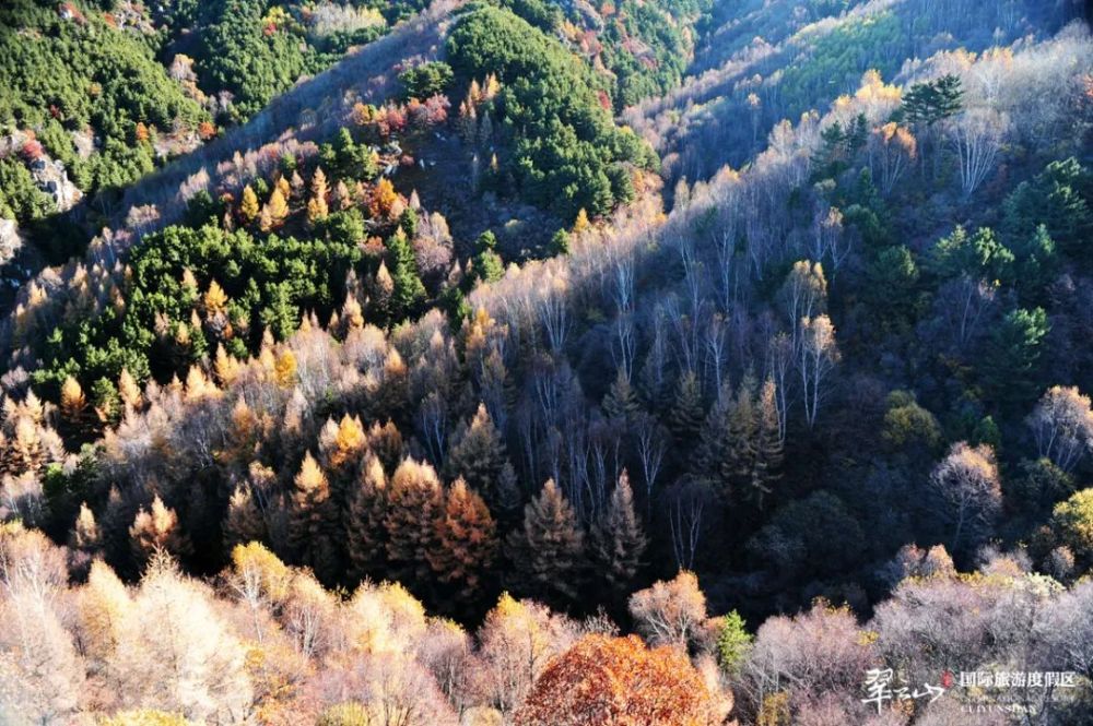 最新九豹免费，自然美景探索之旅启动
