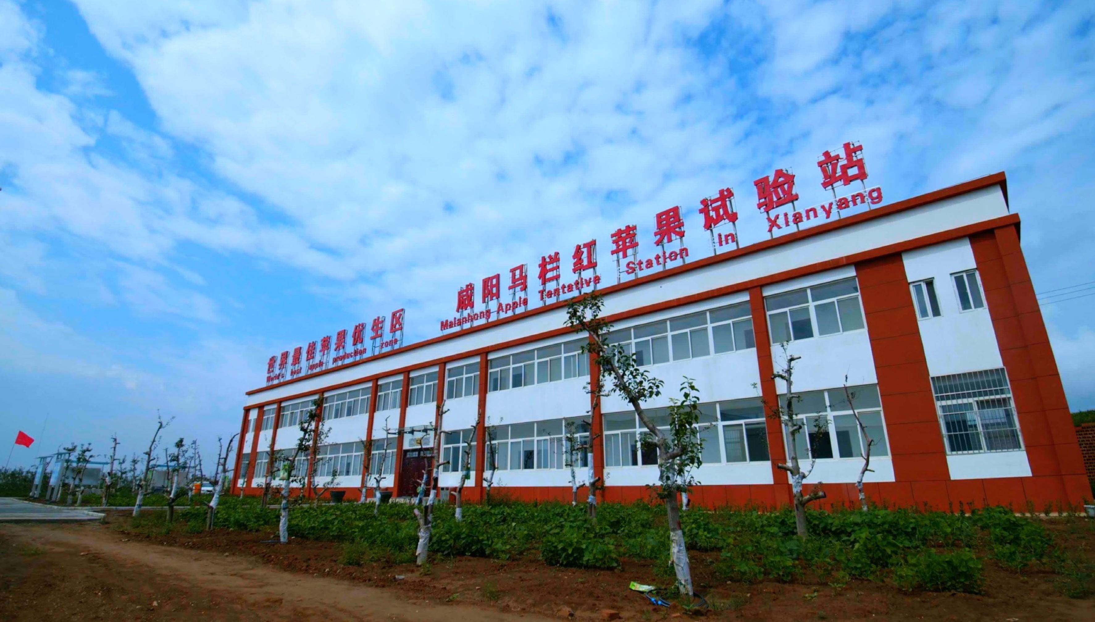 研学通知