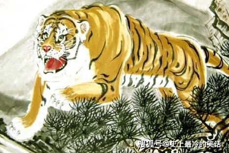 四胡虎最新系列