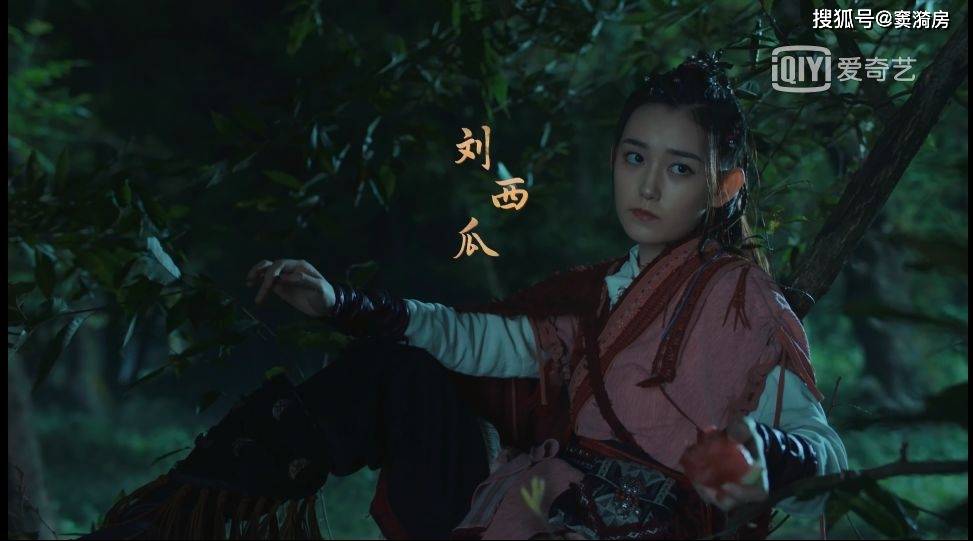 赘婿陆枫