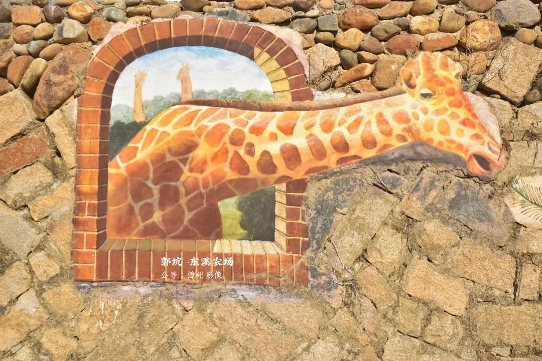 探索自然之旅
