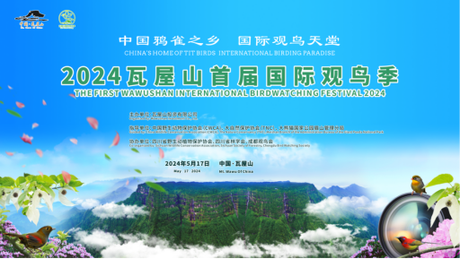 重庆砍小孩最新,重庆新篇章，从砍小孩到自信成长的励志之旅