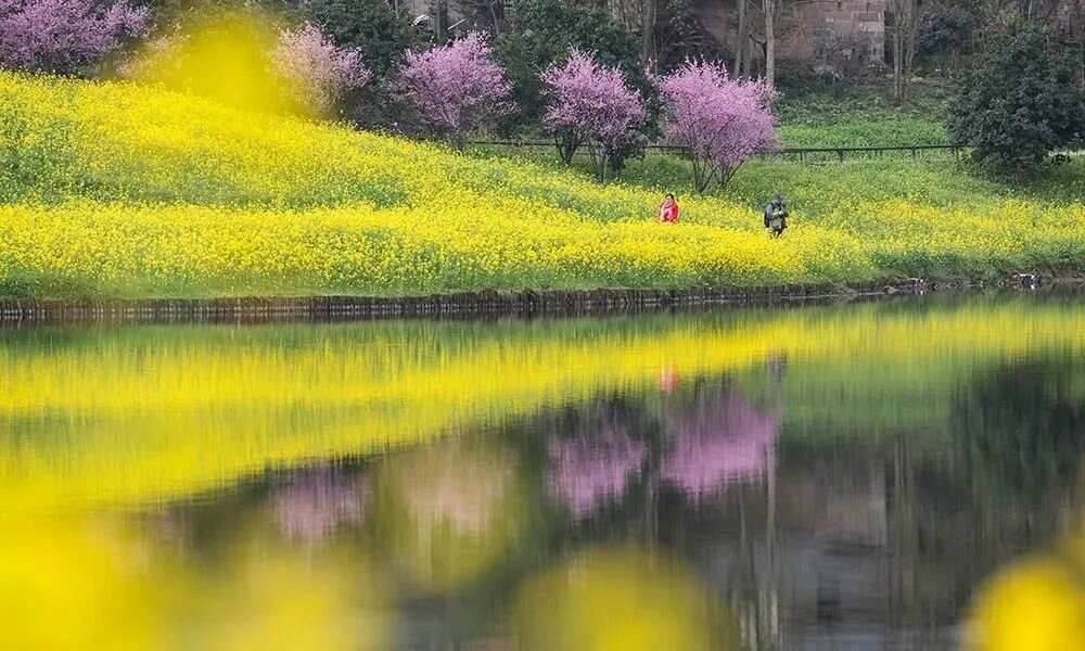 美貌时刻