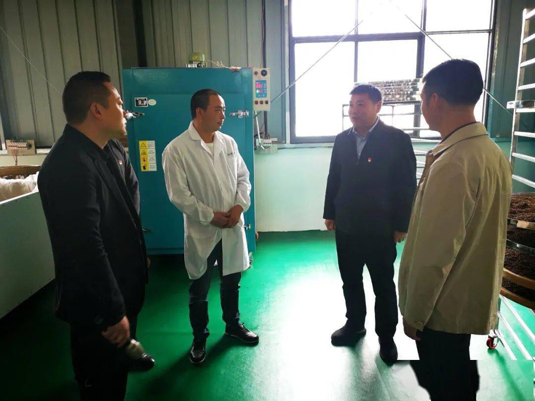 滑子村最新发展