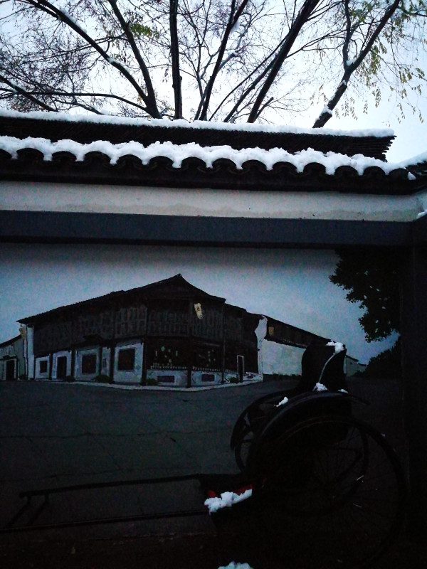 奈雪新品探索，小巷中的隐藏宝藏之旅