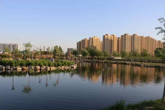 禹城市最新探索之旅，自然美景尽收眼底