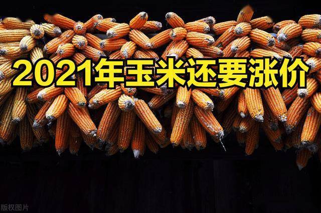 心灵静谧的探寻之旅