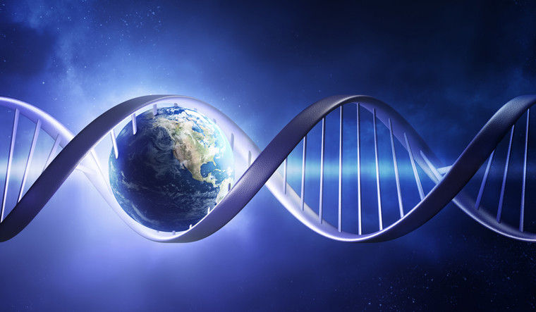 科学最新突破