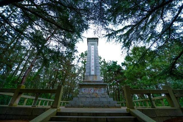 威海最新免费景区,威海最新免费景区，科技魅力之旅，让生活与艺术完美融合