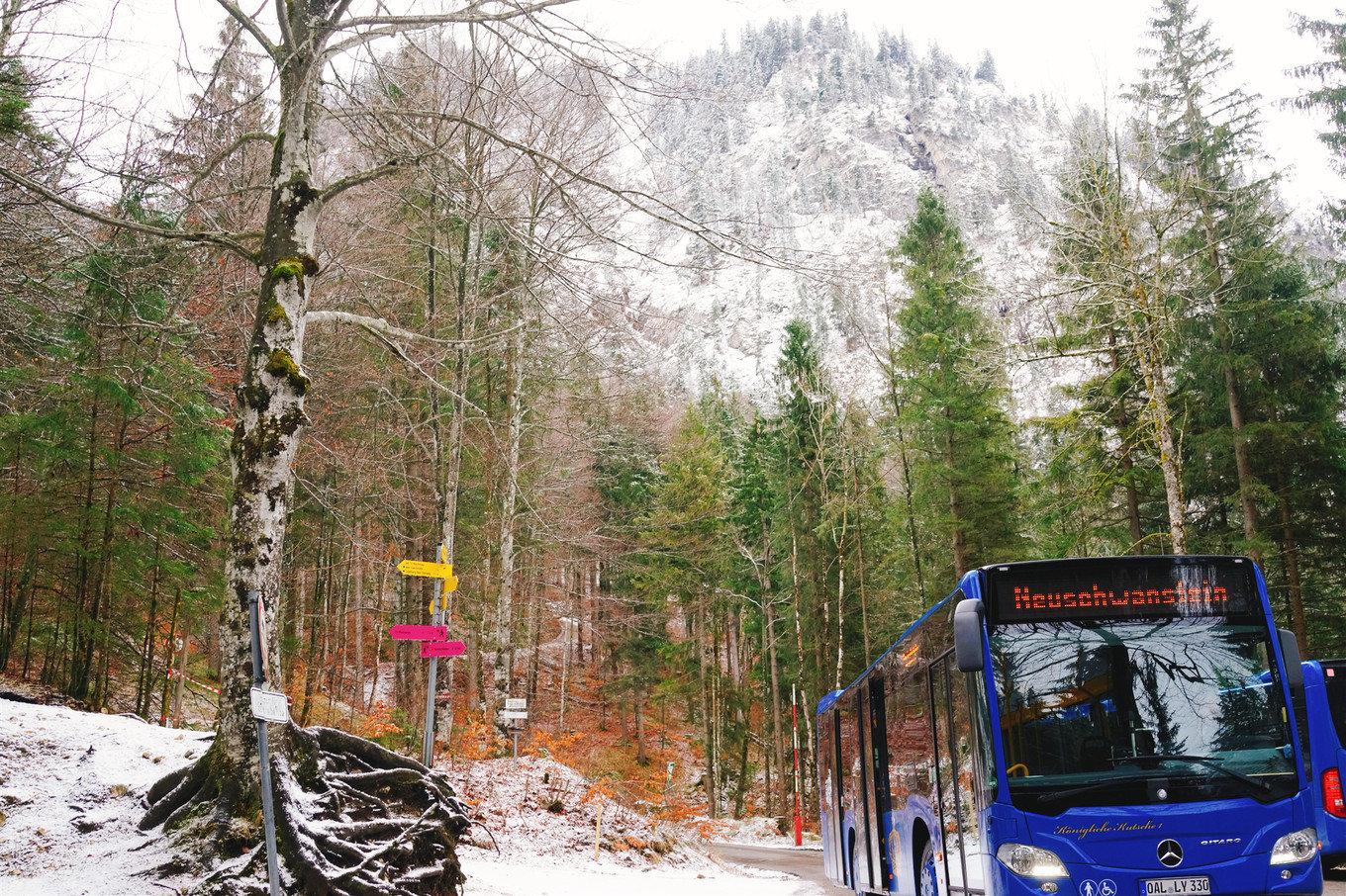 疫情地图最新动态与旅行的呼唤，自然美景探索的力量源泉