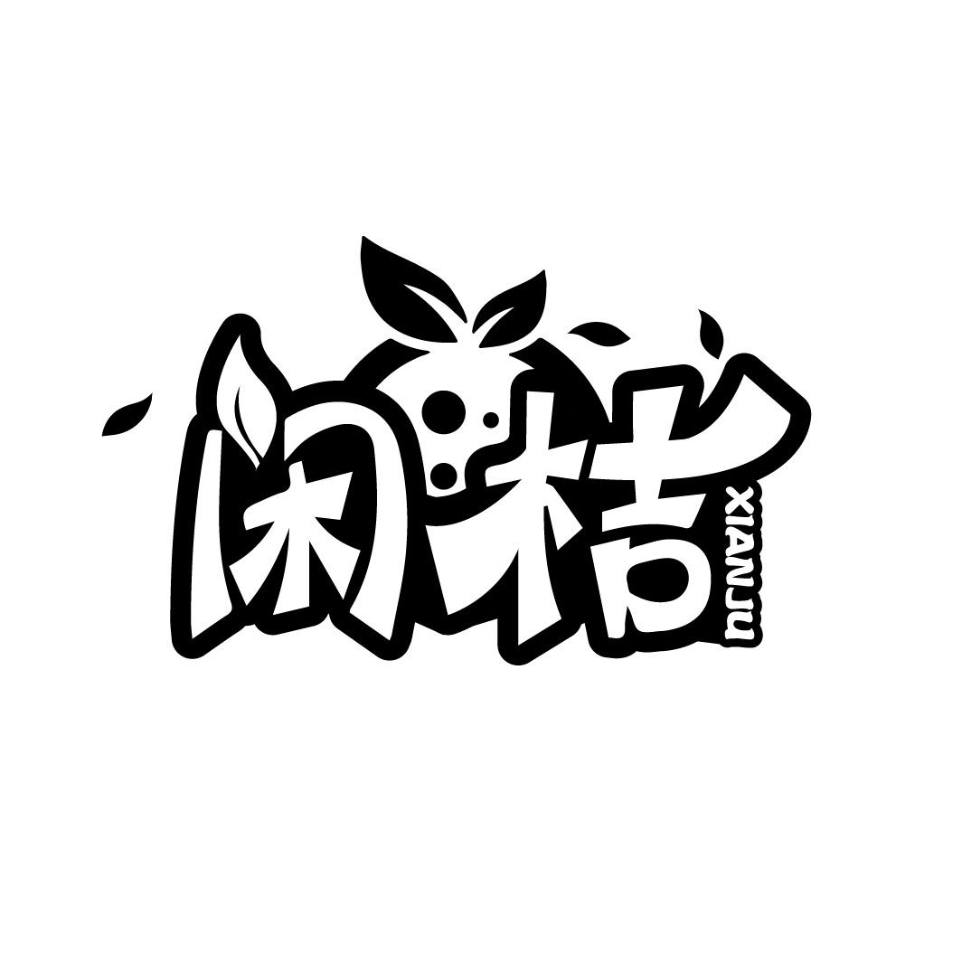 闲榴最新信息概览，掌握最新动态，一览无遗