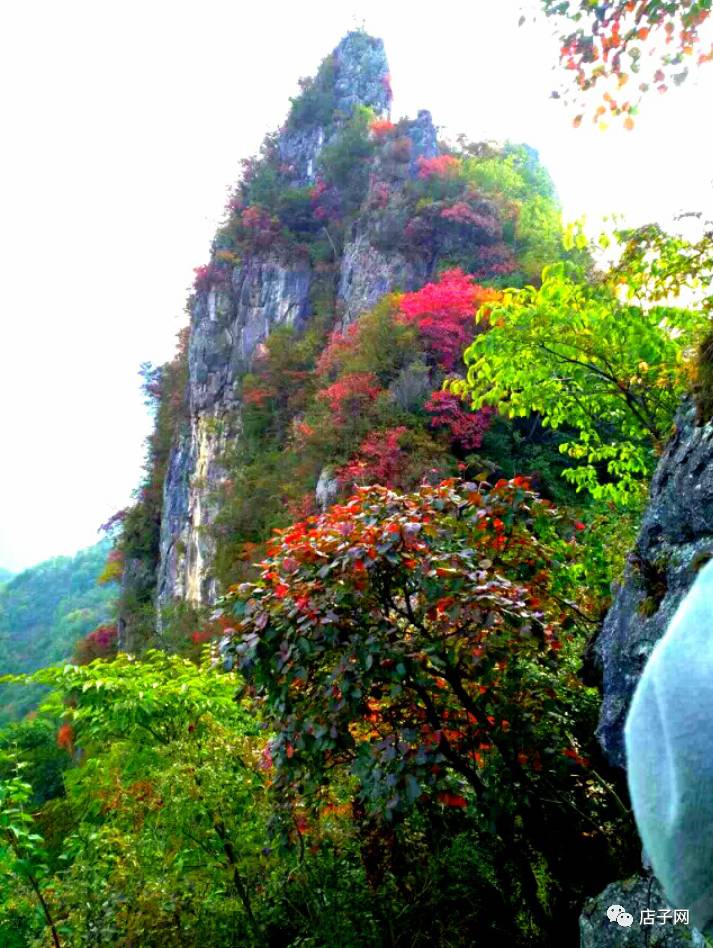 郧西县最新探索，自然美景之旅，寻找内心宁静的旅程