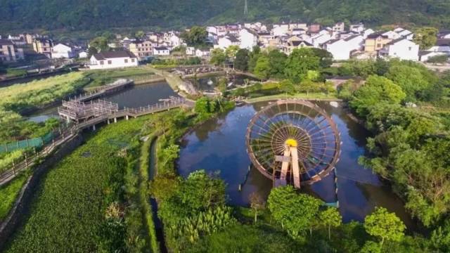 最新动态深度解析