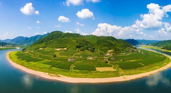 国营林场改革最新动态，与自然美景的邂逅，探寻内心宁静之旅